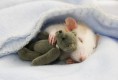 /album/fenykepgaleria/baby17-jpg1/