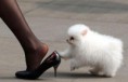 /album/fenykepgaleria/a15479779-200905131548478107900-jpg1/